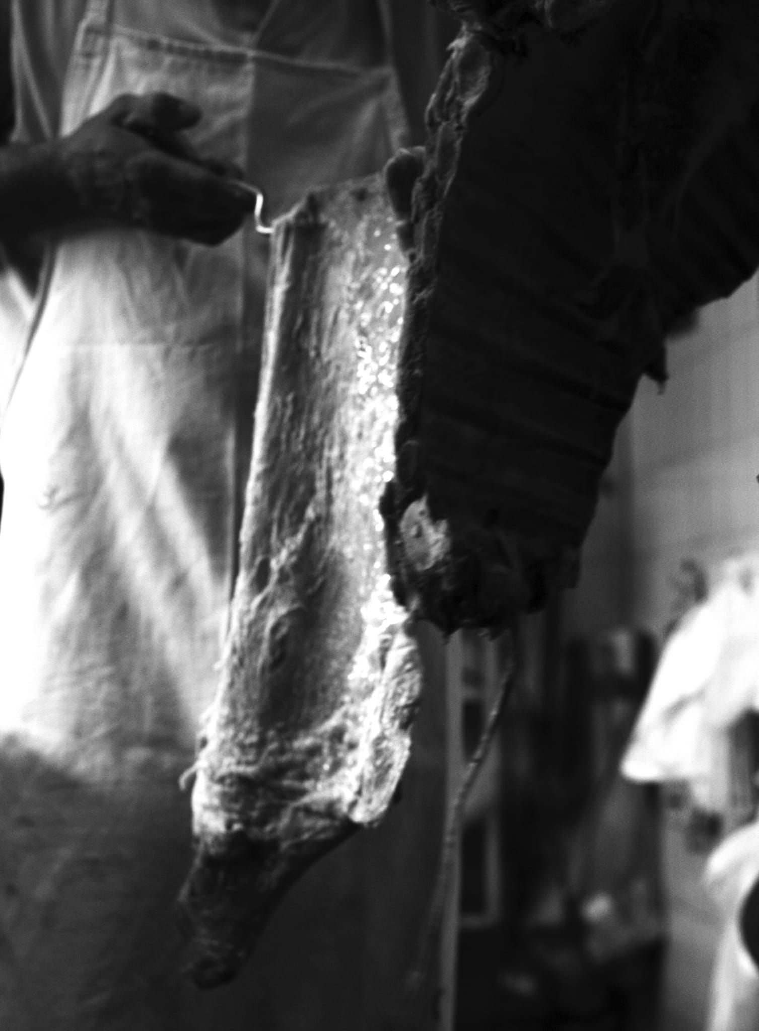 Carne, Antonela Guerra