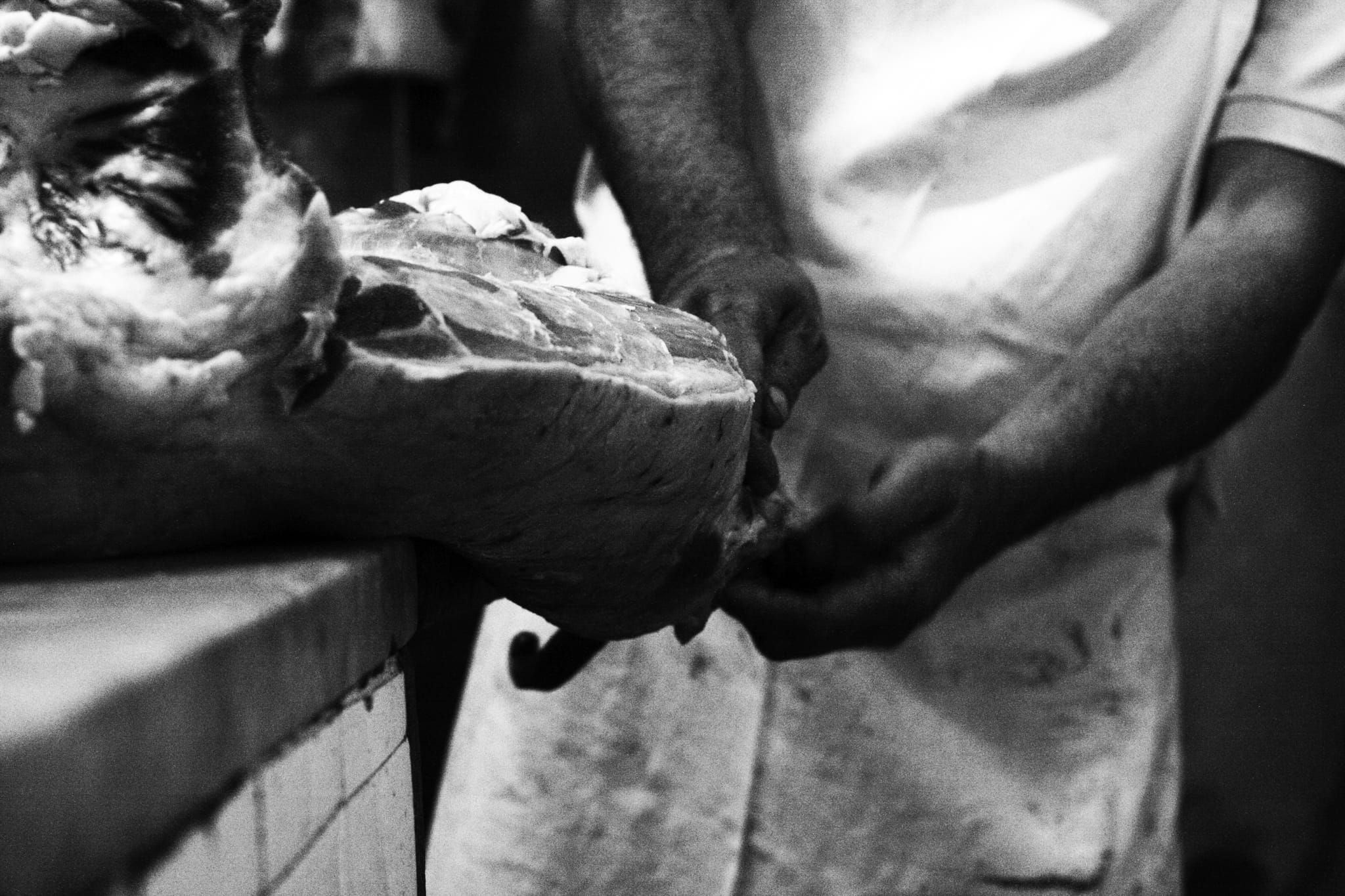 Carne, Antonela Guerra