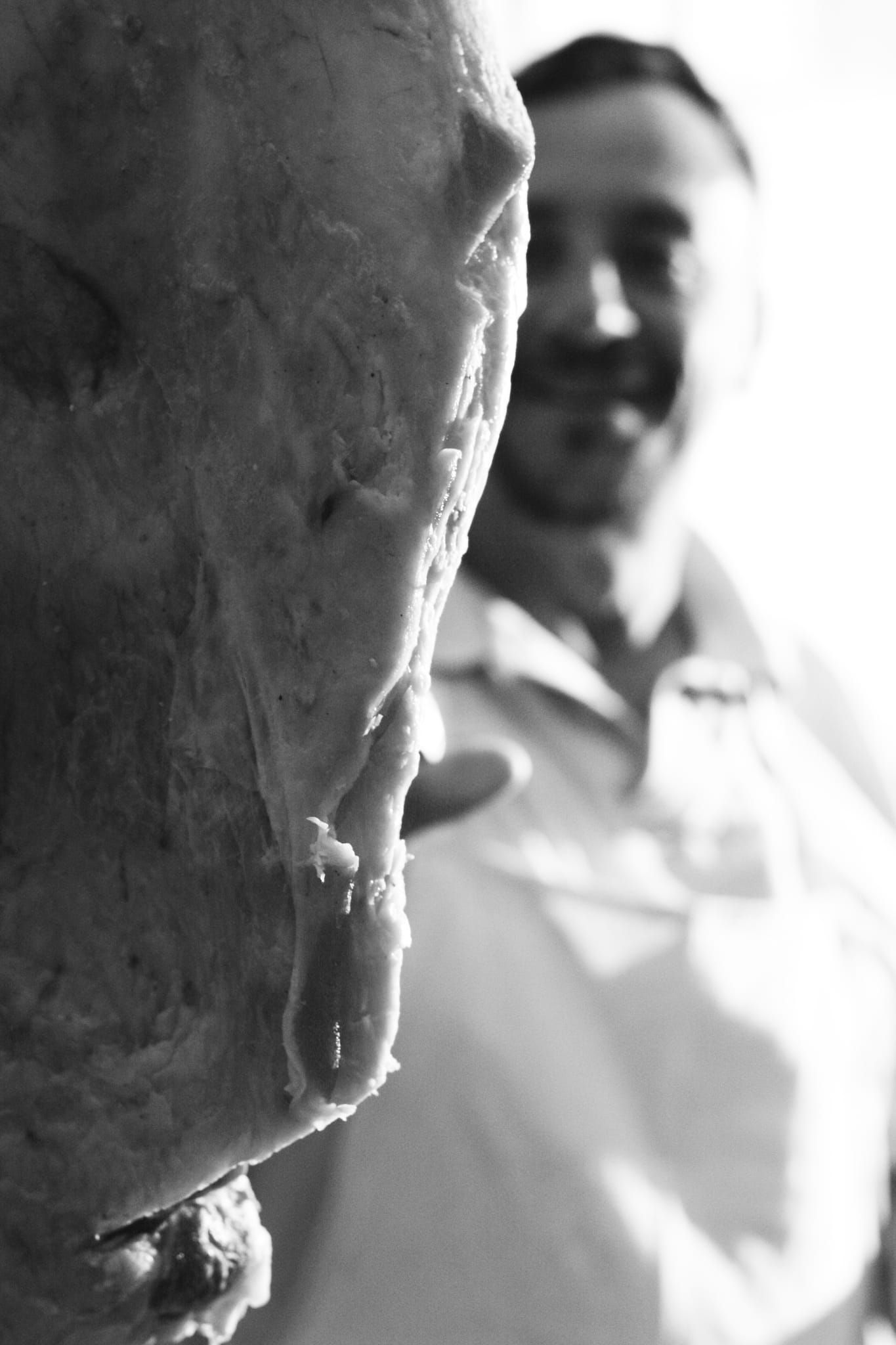 Carne, Antonela Guerra