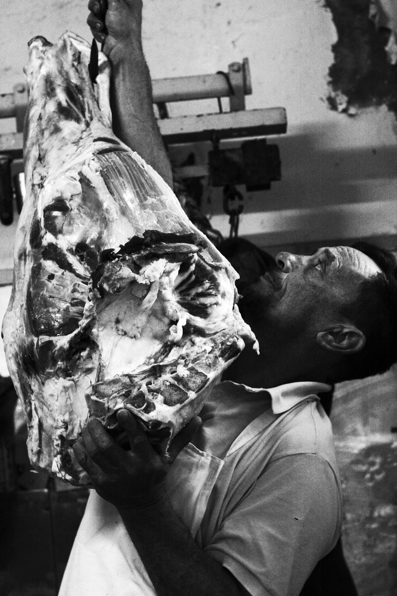 Carne, Antonela Guerra